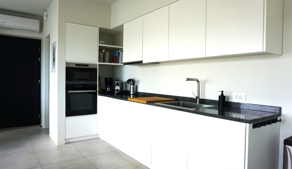 kitchen and living room (1)