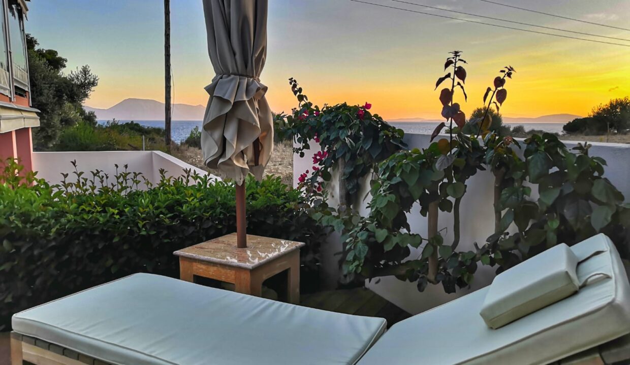ionian nest (1)